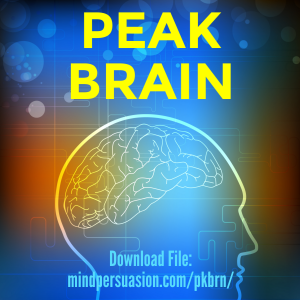 Peak Brain