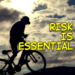Risk Is Essential