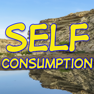 Self Consumption