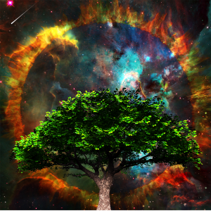 Holy Tree
