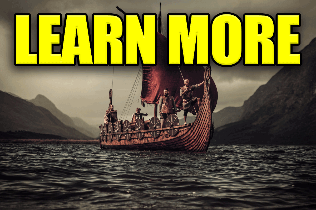 Viking More