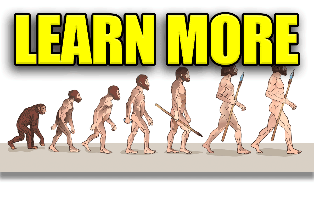 Slave Evolution